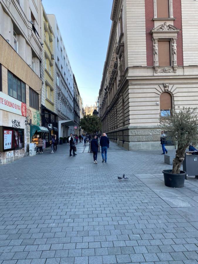 Cika Ljuba Apartamento Belgrado Exterior foto